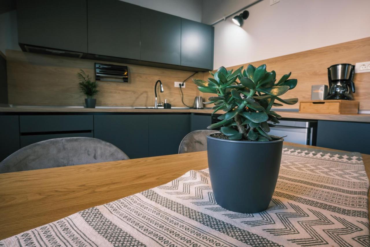 Popa Apartment Cluj-Napoca Eksteriør bilde